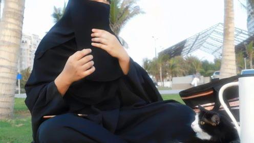 娱乐吃瓜君内增高,揭秘明星内增高背后的秘密  第2张